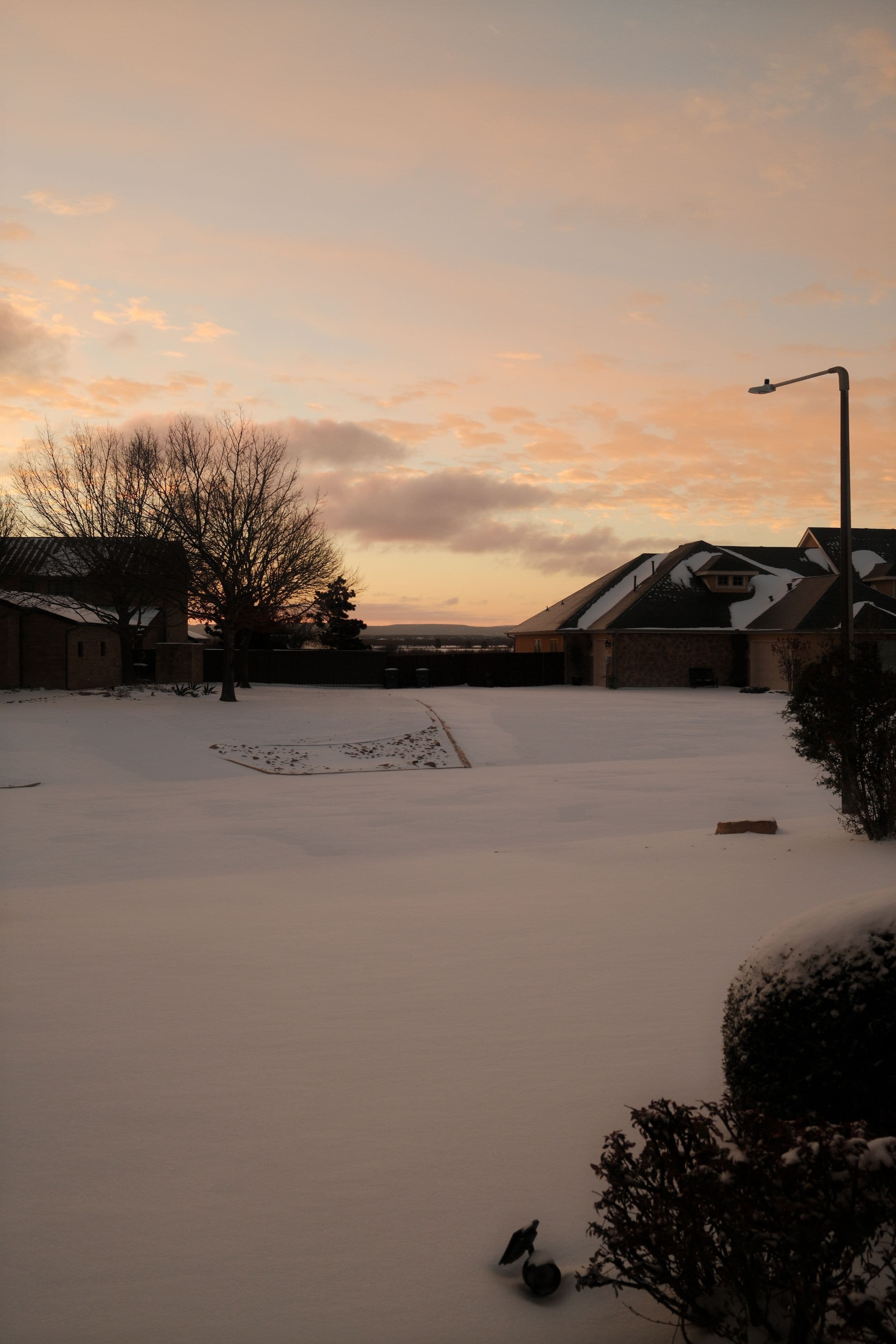 Early morning light over a snow-covered neighborhood